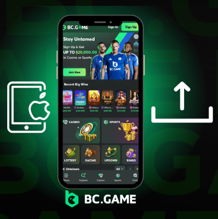 Enhancing Your Experience with BC.Game Support